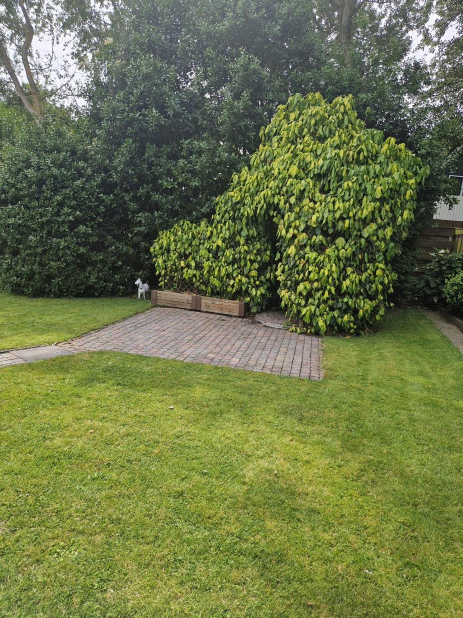 Zeelucht Texel Villa De Koog  Luaran gambar